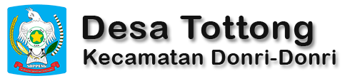 Website Desa Tottong